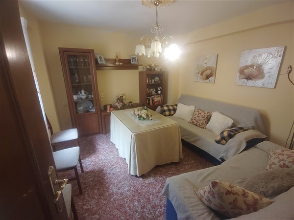 video image