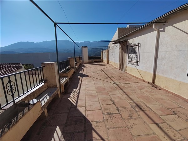 video image