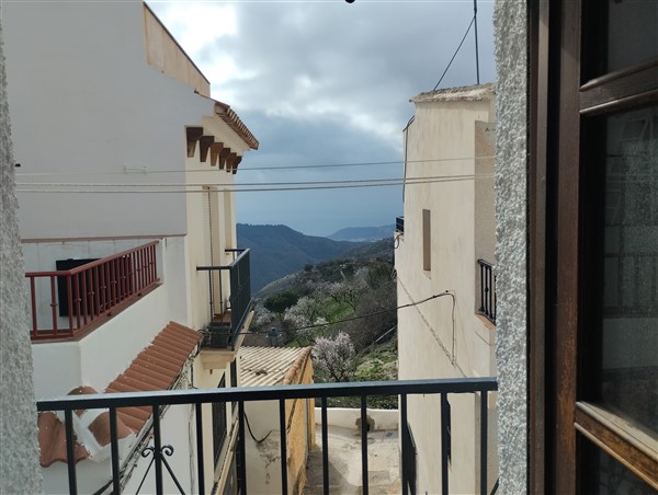 video image