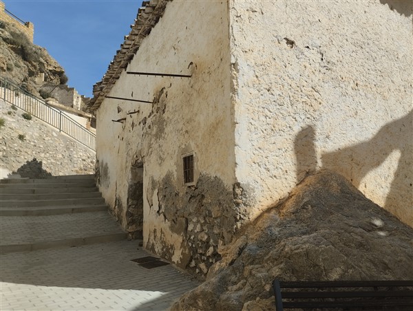 video image