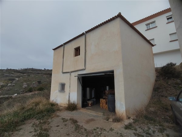 video image