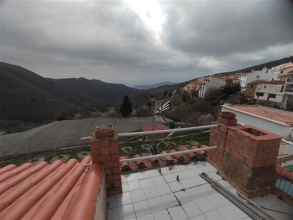 video image