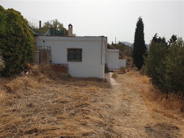video image