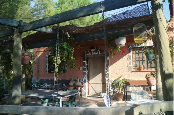 video image