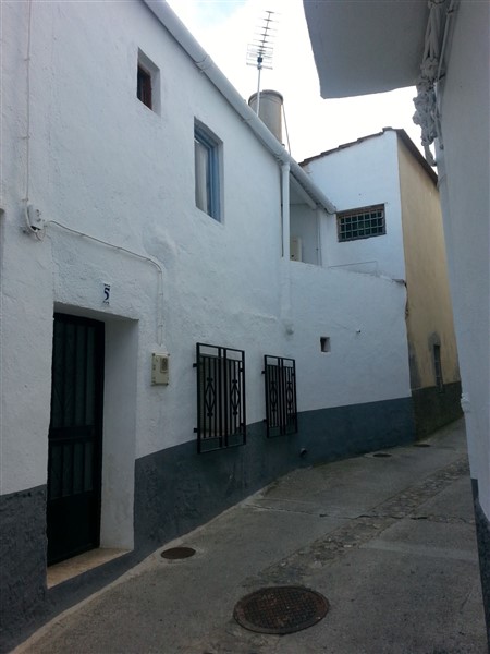 video image