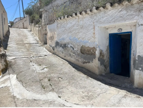 video image