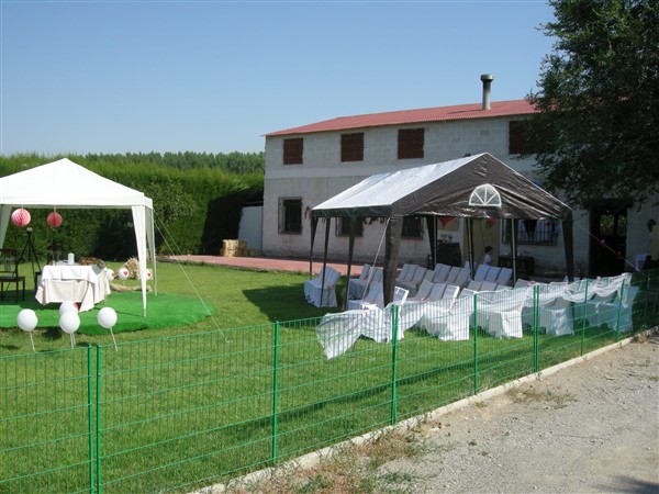video image