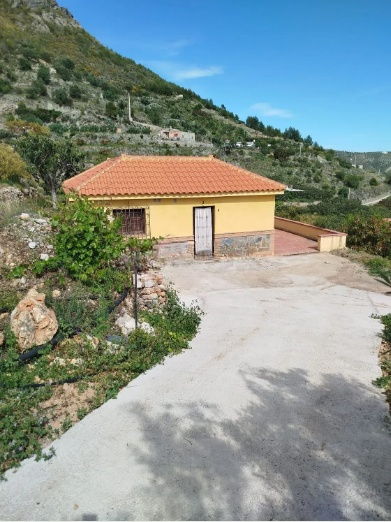 video image
