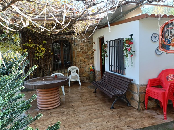 video image