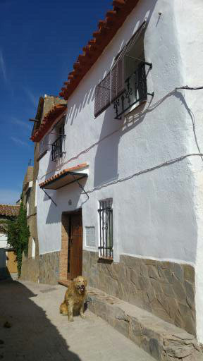 video image