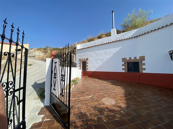 video image