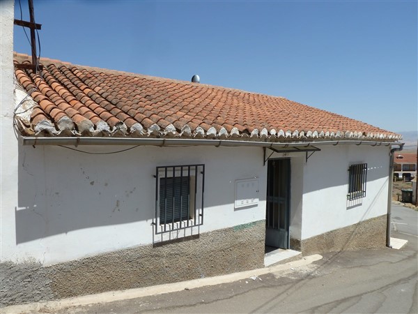 video image