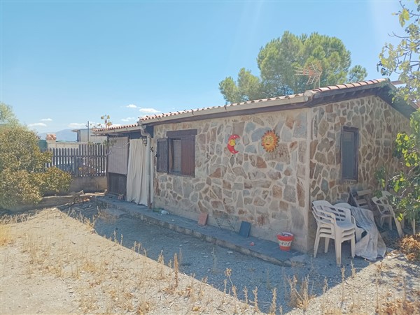 video image