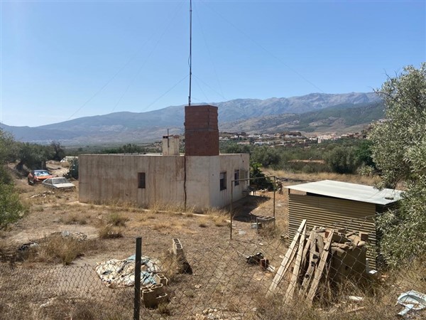 video image