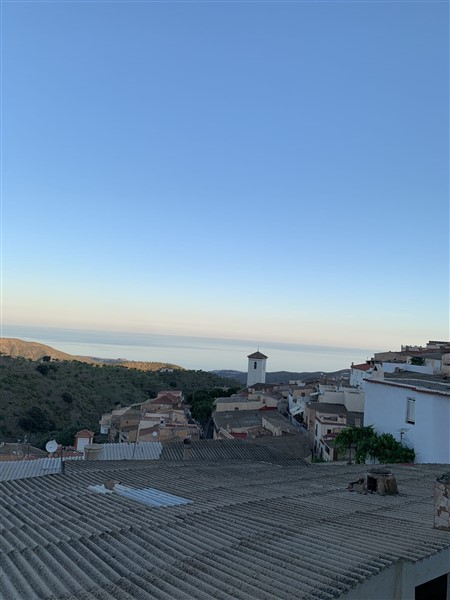 video image