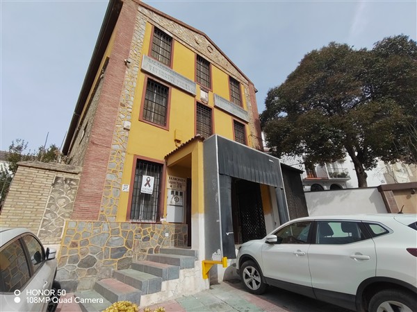 video image