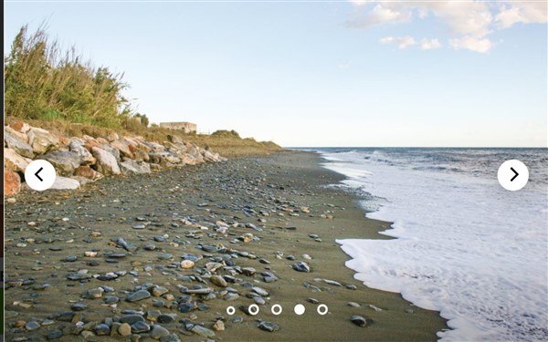 video image