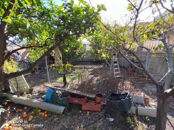 video image