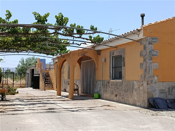 video image