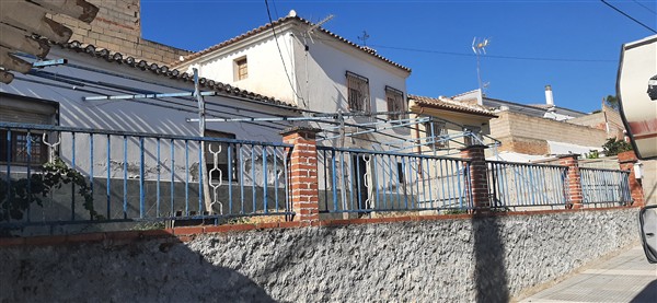 video image