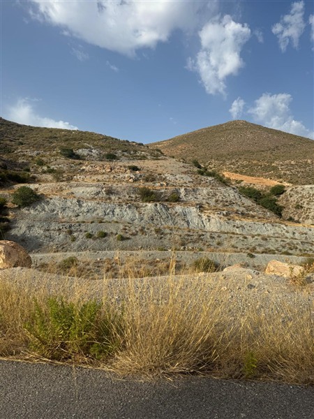 video image