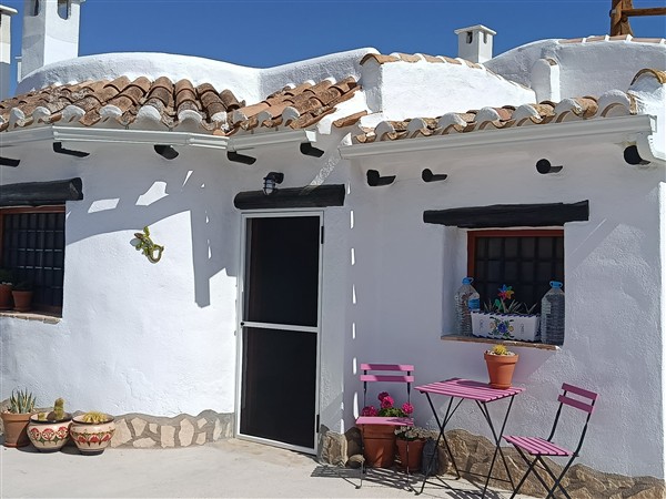 video image