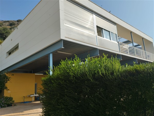 video image