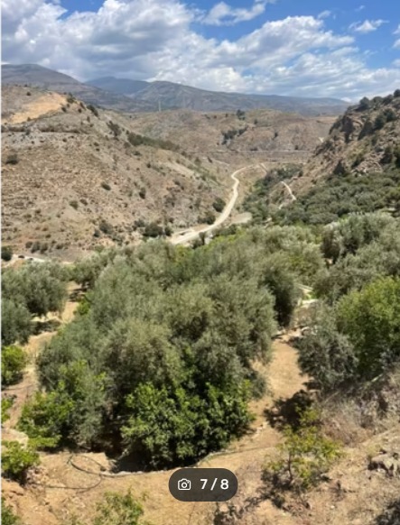 video image