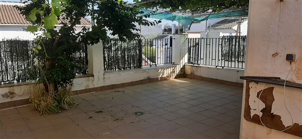 video image