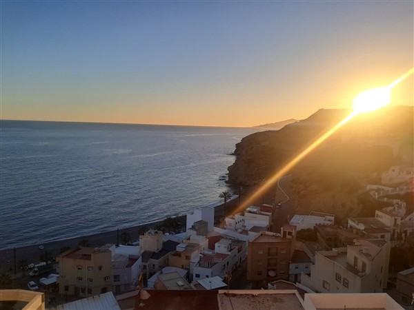 video image
