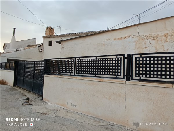 video image